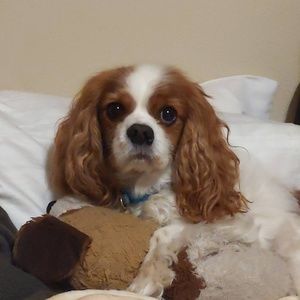 Meet your Posher, Trina